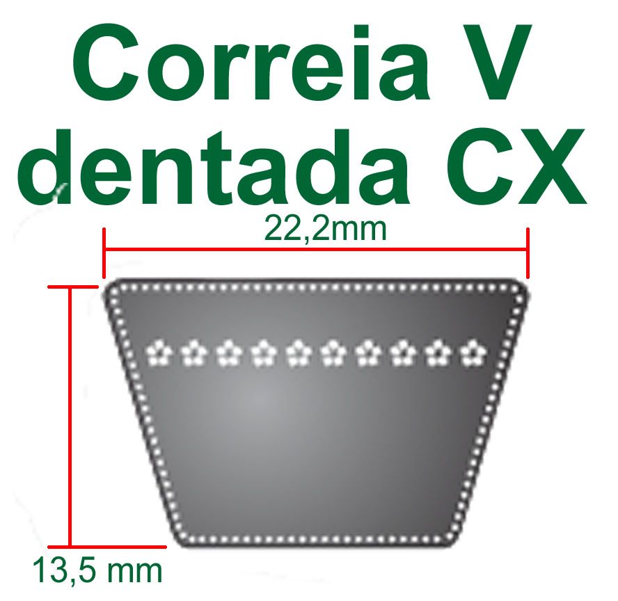 V Dentada Perfil CX